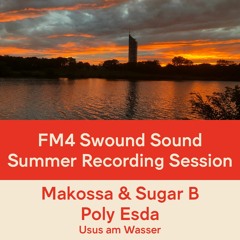 FM4 Swound Sound #1351