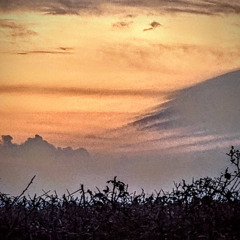 dawn paracosm