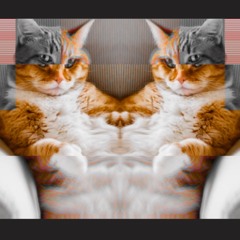FAT CATS RELAX