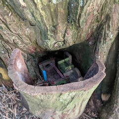 daily shelter-in-place loops