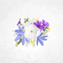Simpler (Album Version)