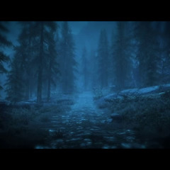 Skyrim - Night Rain Ambiance 2 (ambient music, raindrops, crickets, trees)