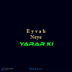 Eyvah Neye Yarar Ki (Slowed)