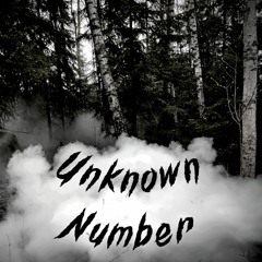 Unknown Number (feat. GEDIN)