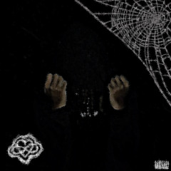 the life of a superstar