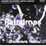 Raindrops - Sander Van Doorn x Selva x Macon (delarosa Remix)