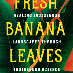 Read Fresh Banana Leaves: Healing Indigenous Landscapes through Indigenous
