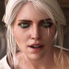 The Witcher 2