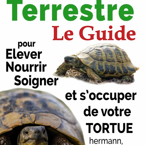 Tortue Terrestre: Le Guide pour Elever, Nourrir, Soigner Et s’occuper de Votre Tortue Hermann, Grecque... (French Edition)  télécharger ebook PDF EPUB, livre en français - adXLqwaNou