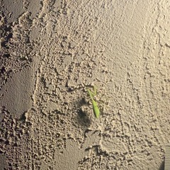 【Synth V Natalie】Those Who Give【Synthesizer V Metal Original】