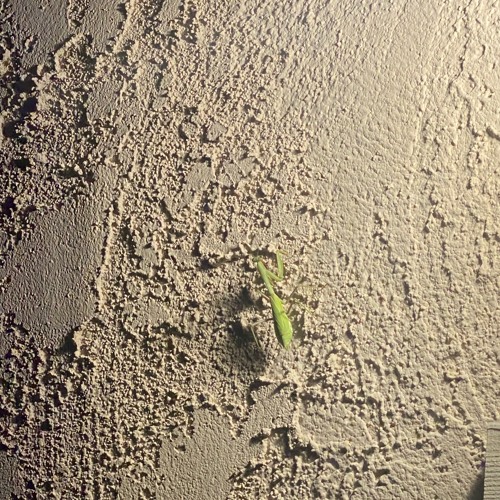 【Synth V Natalie】Those Who Give【Synthesizer V Metal Original】