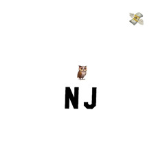 Nj Owl💰