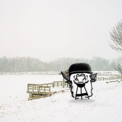 Snow Outside