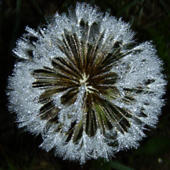 251219 - Warped and Uneasy Lies The Crown