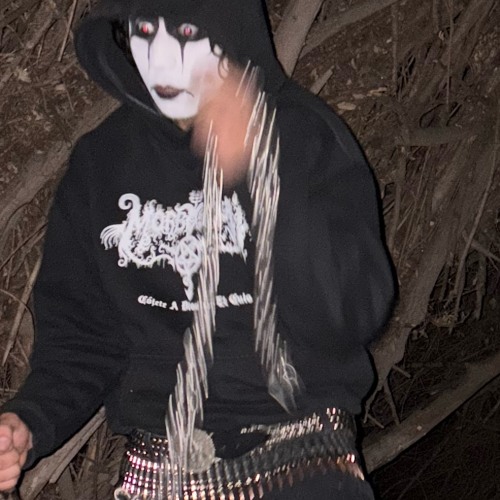 The last perra song lurking shadows of a fool