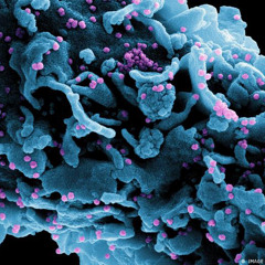 Martin Glowacz - Black Eye Galaxy