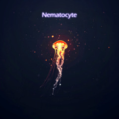Nematocyte