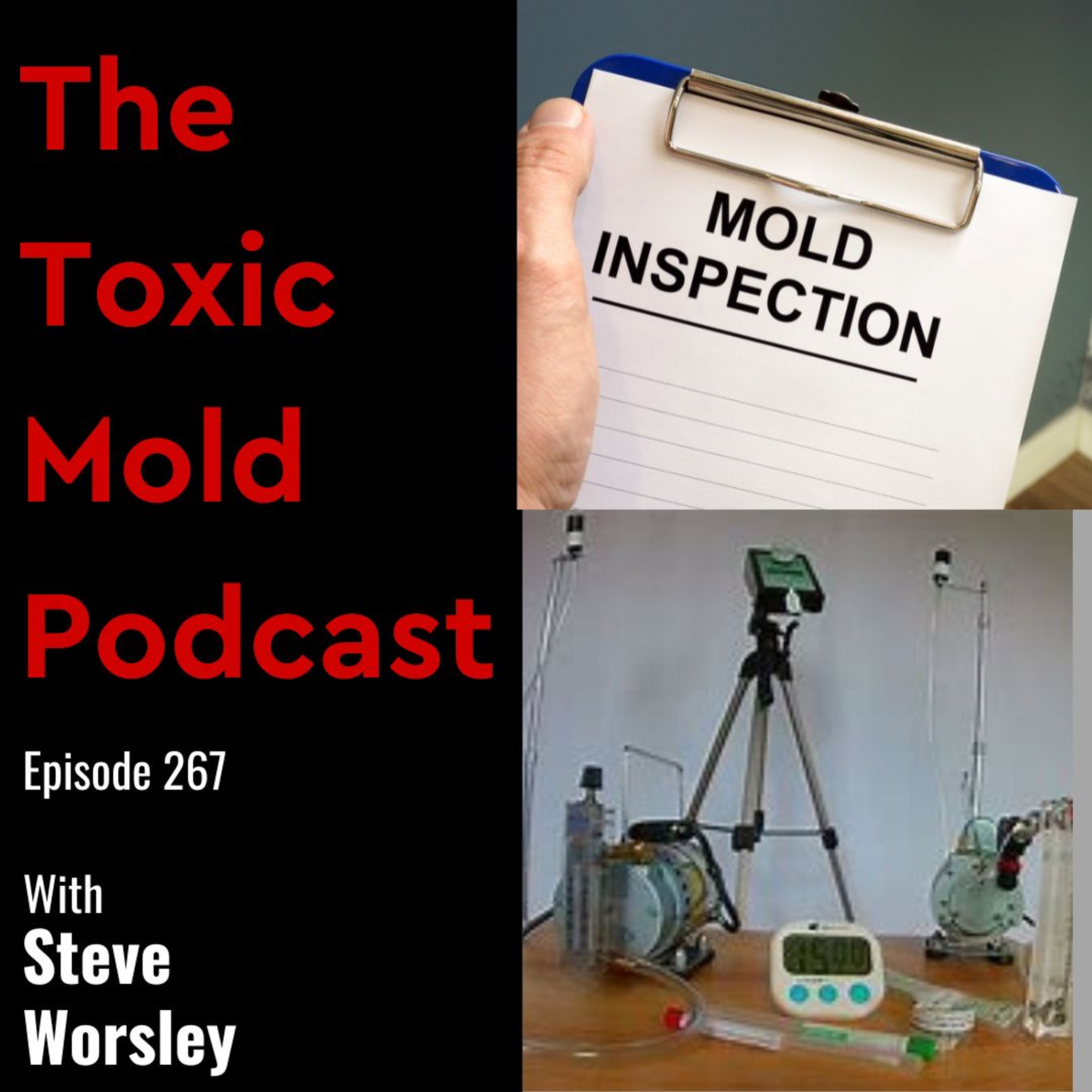 The Toxic Mold Podcast