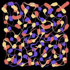 #002 | 10PM - Let nad Bračom