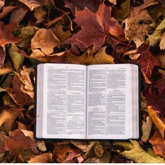 Praise The Lord~ ~~K PRINCE ft MUKWA