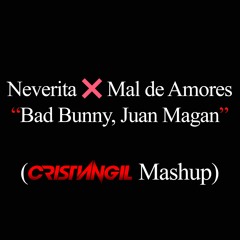 Neverita Vs Mal De Amores (Cristian Gil Mashup)