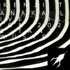 Kenji Tanaka LIVE // Fusion // Tanzwüste 2025 DJ mix artwork - Electronic music tracklist cover image