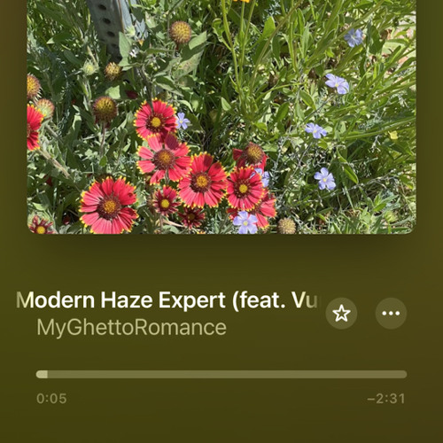 modern haze expert ft vürn
