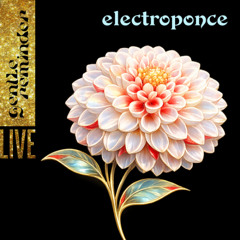 electroponce - Live at Paloma for Gentle Reminder
