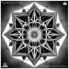 Première: TBEP01 SunnyMuffins - Cosmic Significance - 03. Now Wander
