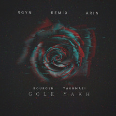 Kourosh Yaghmaei - Gole Yakh (RGYN × ARIN Remix)