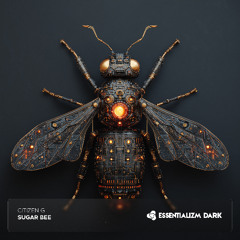 Citizen G - Sugar Bee