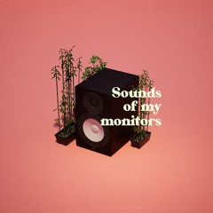 Sonthers @ sounds of my monitors #03