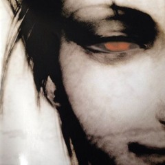 Everlasting Gaze