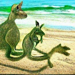 Kangaroo & Kiwi's pt.1
