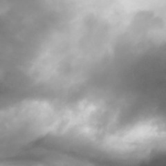 Grey Skies Ritual Mix...Coyote