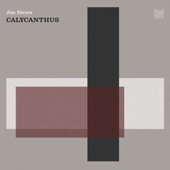Jim Rivers - Calycanthus (Bushwacka! Rемiх)