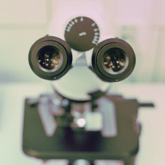 Haapala Heavy Industries