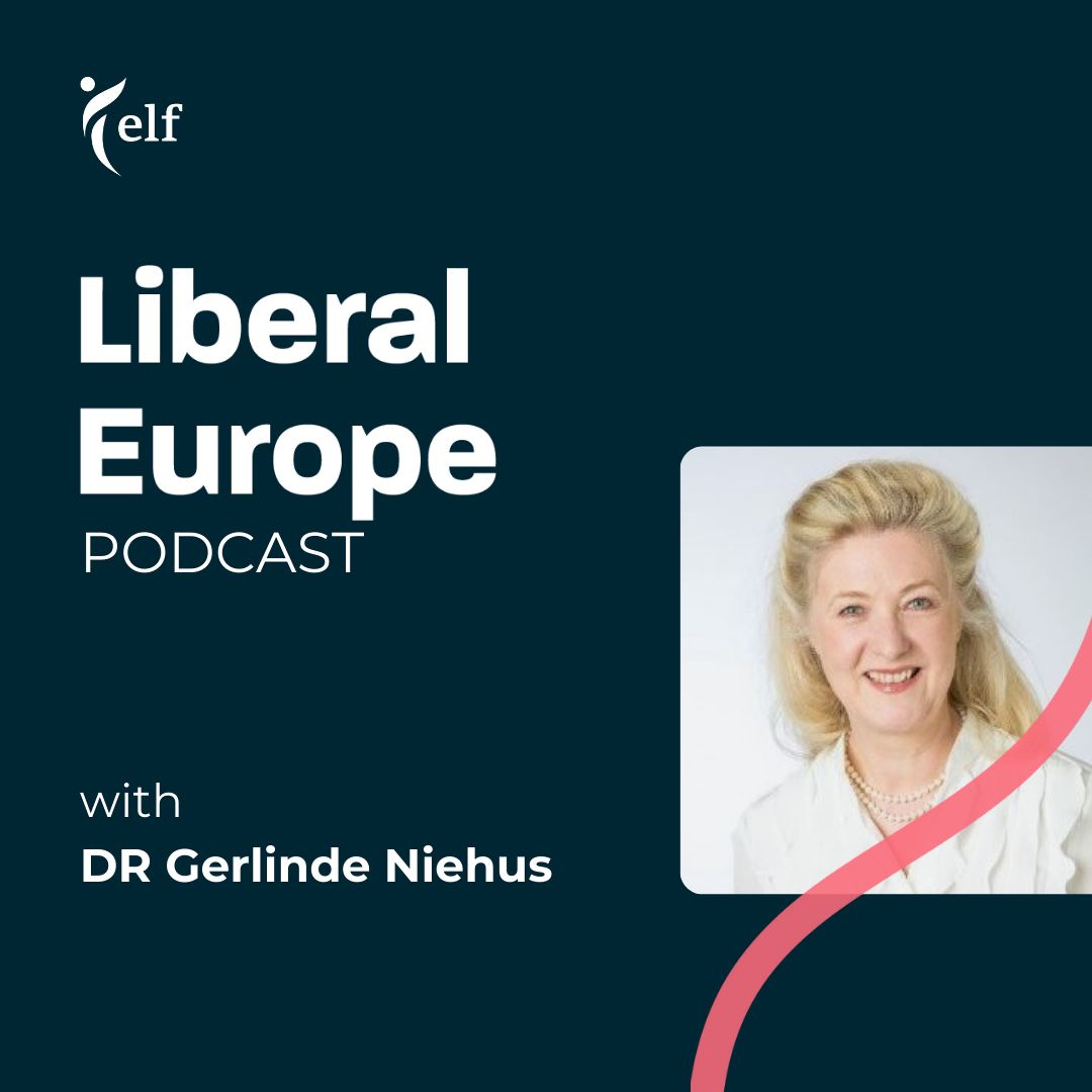 How could the EU be a strong security player? - Conversation with Dr Gerlinde Niehus episode artwork