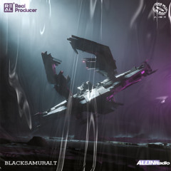 BlackSamurai.T黑武士 - 2% (Extended Mix)
