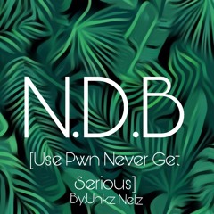 Use Pwn Never Get Serious-By:Unkz Nelz