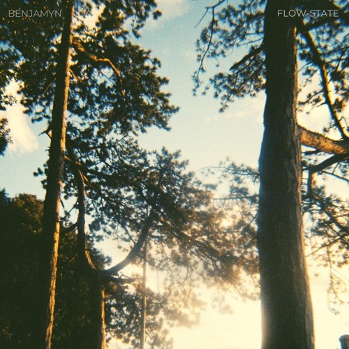 BENJAMYN - Flow-State