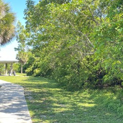 Fifty Shades Of Green  / MOLOKOVA / Deep Ambient Mix