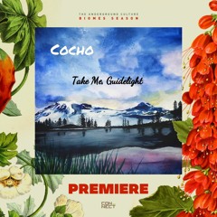 PREMIERE: Cocho - Take Me, Guidelight (Lisandro (AR) Remix) [Canopy Sounds]