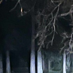 ✧