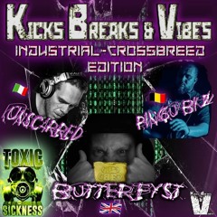 Kicks Breaks & Vibes on Toxic Sickness - ButterFist (January 2025)