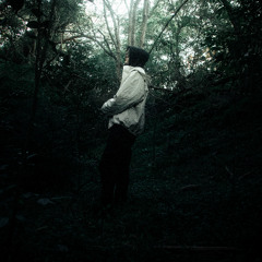 The Wanderer (Demo)