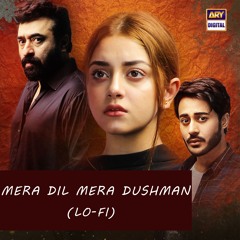 Mera Dil Mera Dushman | Lo-Fi | Slow & Reverb 🎶 | Rahat Fateh Ali Khan | ARY Digital