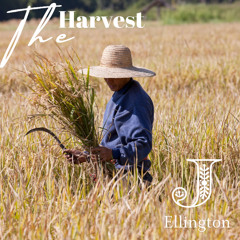 The Harvest
