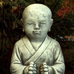 Peace & Harmony