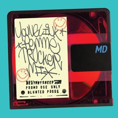 Young link - Femme Trucker Mix